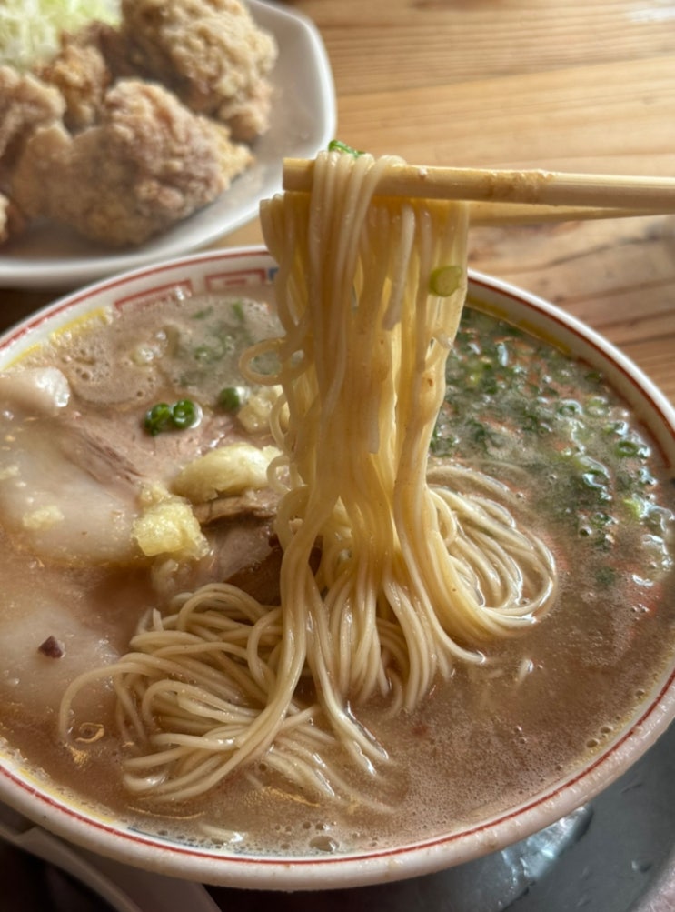 후쿠오카 라멘 맛집 | 하카타 다루마 총본점