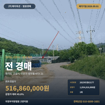 고양농사땅경매ㅣ경기도 고양시 덕양구 대자동 473-21ㅣ2025타경63177 썸네일