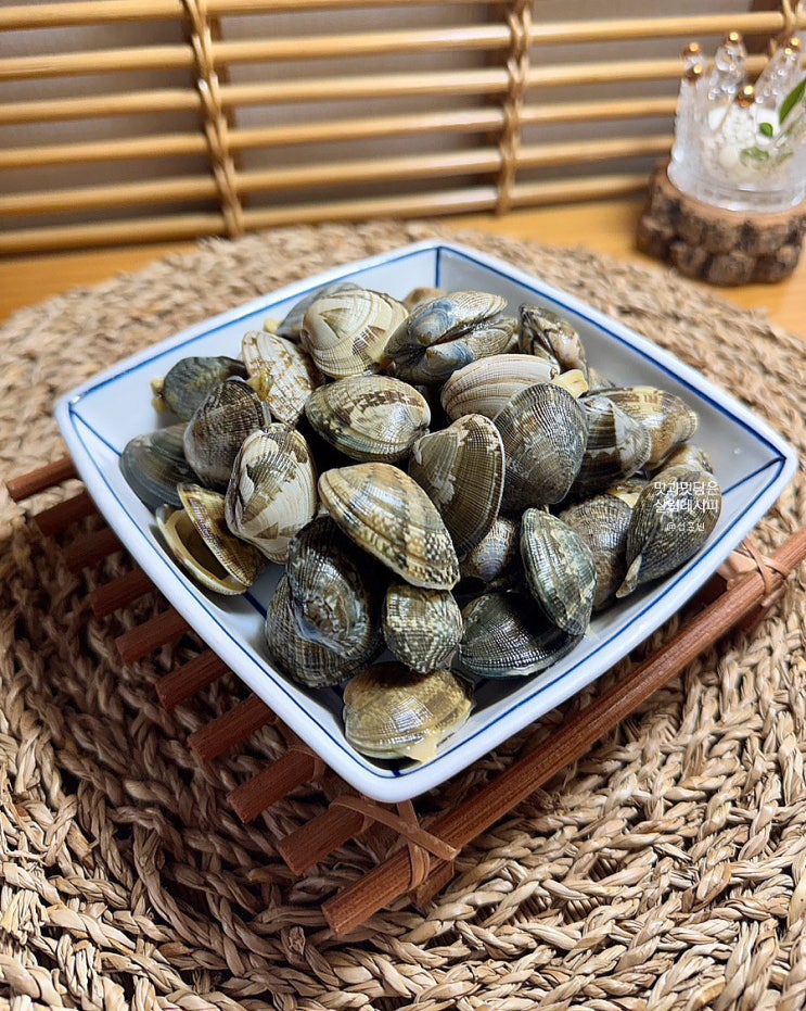 바지락 해감 방법 시간 보관법