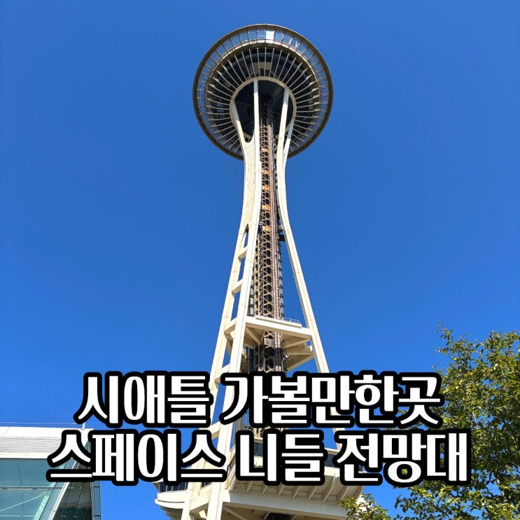 시애틀 가볼 만한 곳 스페이스 니들 전망대에서 바라본 시애틀 여행....