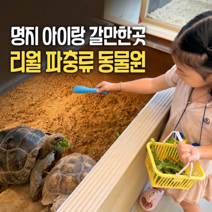 부산 파충류 동물원 리월｜명지 실내 아이랑 갈만한곳 먹이주기 체....