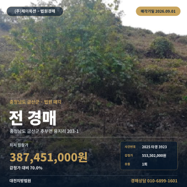 대전지방법원 밭 경매 충남 금산 토지 1577평 부지조성 추부면 용지리 2025타경3923 썸네일