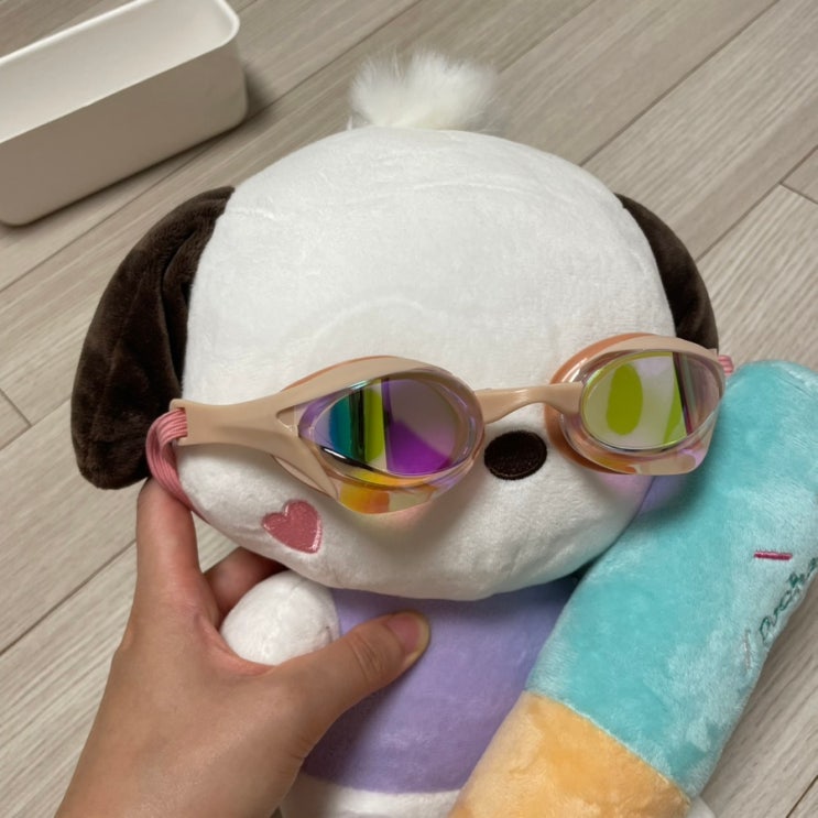 후그 수경 로빈 미러 착용후기 후그 달리 미러 비교