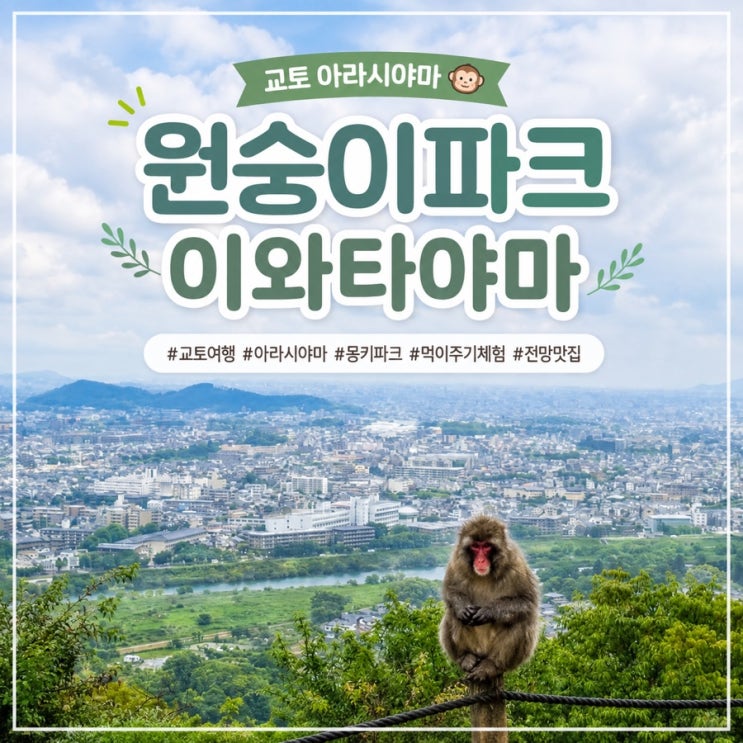 교토 아라시야마 몽키파크 이와타야마｜비 오는 날 원숭이 보러 다....