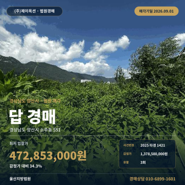 양산토지경매ㅣ소주동 969평 새진흥4차아파트 인근 현황도로 2025타경1421 썸네일