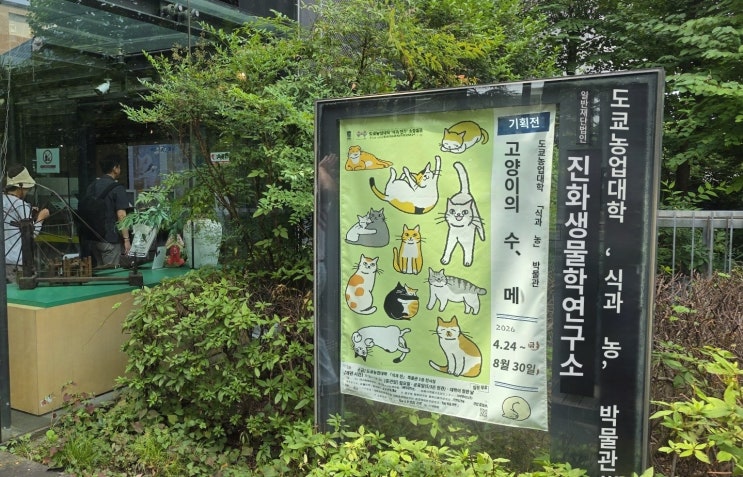 링크 미리보기