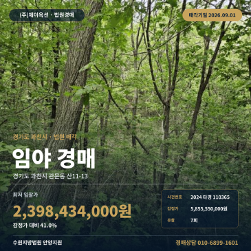 과천시 관문동 임야 경매 인근 필지 출입 8598평 2024타경110365 썸네일