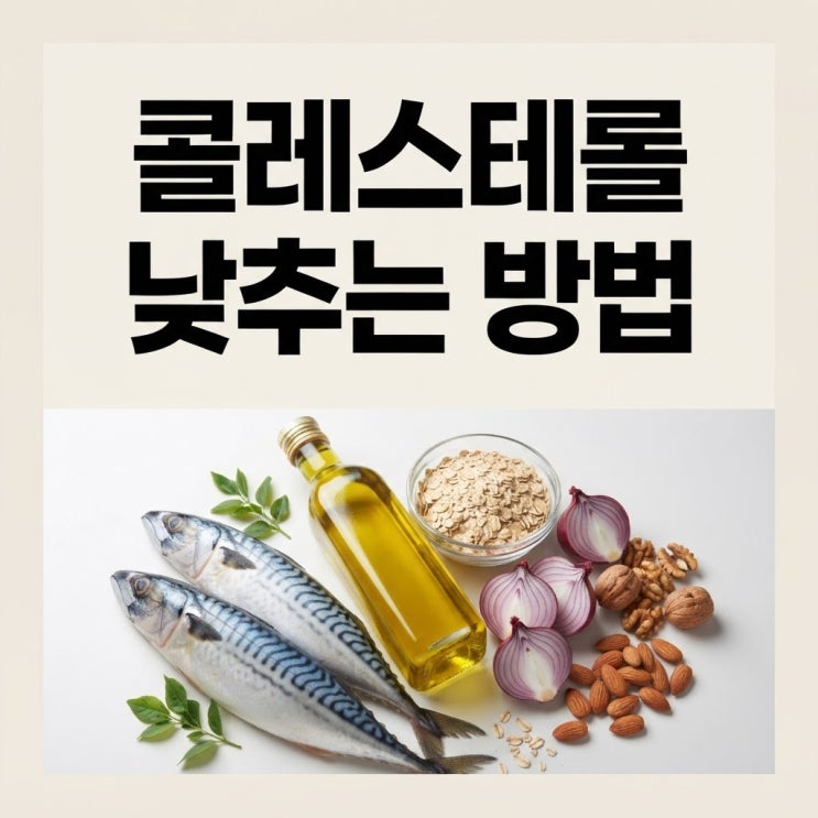 정상 콜레스테롤수치 콜레스테롤 낮추는방법 콜레스테롤낮추는음식