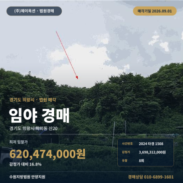 의왕시 학의동 산지 법원경매ㅣ약 7360평 임야와 도로 접촉 여건 2024타경1508 썸네일