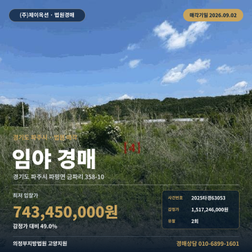 파주임야경매ㅣ경기도 파주시 파평면 금파리 358-10ㅣ2025타경63053 썸네일