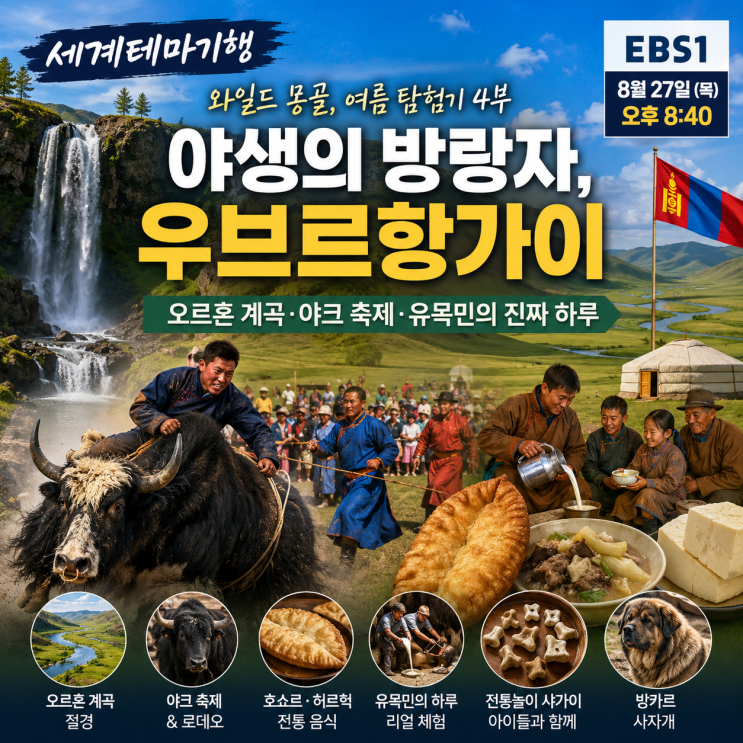 세계테마기행 와일드 몽골 여름 탐험기 4부｜오르혼 계곡·야크 축제·유목민의 진짜 하루