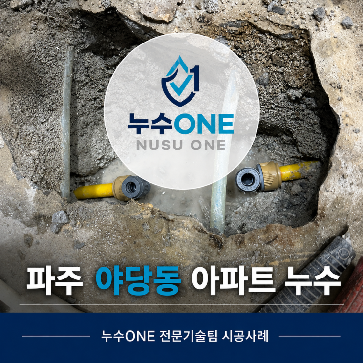 파주 야당동 아파트 누수, 직수배관 문제 찾아 배관 수선한 현장 현장