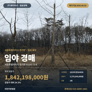 세종시 산지 경매ㅣ연기면 수산교차로 인근 5,460평 임야 조경수 2025타경504056 썸네일