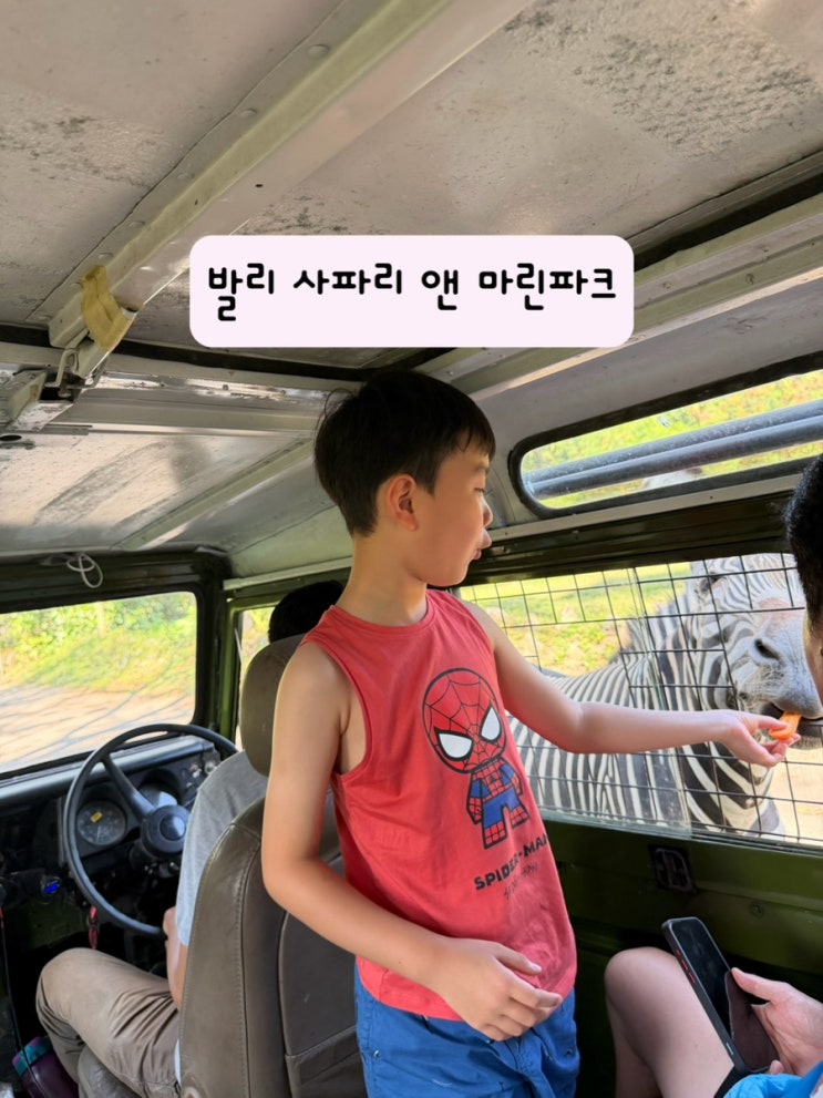 발리 사파리 앤 마린파크 :: 2박3일 동안 세 번 간 사파리 짚투어부터....