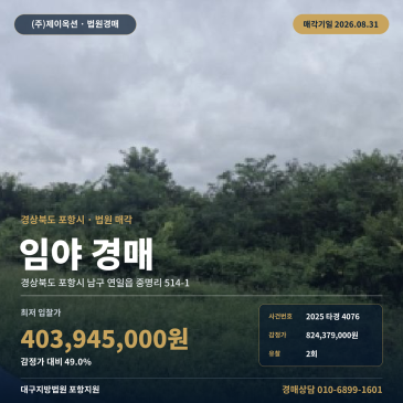 포항시 남구 연일읍 중명리 도시개발구역 제1종일반주거지역 임야 경매 2025타경4076 썸네일