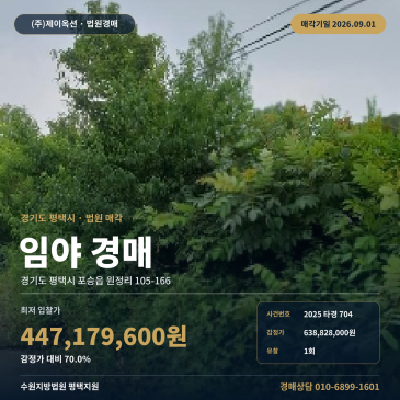 평택 포승읍 원정리 임야경매 498평 계획관리지역 공장신설승인 토목공사 2025타경704 썸네일