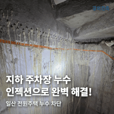 일산 전원주택 지하 주차장 누수 인젝션 그라우팅 해결 후기 시공 사례