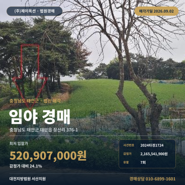 태안산경매ㅣ충청남도 태안군 태안읍 장산리 376-1ㅣ2024타경1724 썸네일