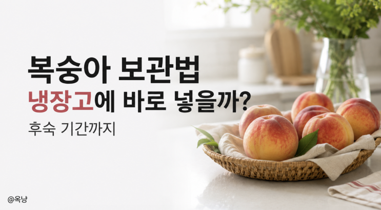 복숭아 보관법 냉장고에 바로 넣을까? 후숙 기간까지