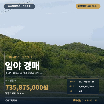 화성시 서신면 홍법리 산96-2 서신초 동측 6360평 자연림 임야 산 경매 2025타경55725 썸네일