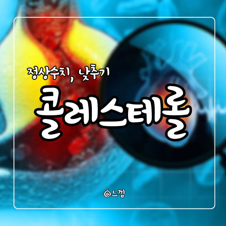 정상 콜레스테롤 수치 높은이유 낮추는방법 체크