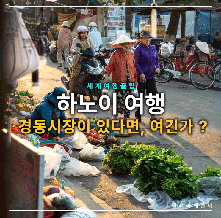 하노이 재래시장 어디 갈까? 동쑤언 vs 롱비엔 새벽시장