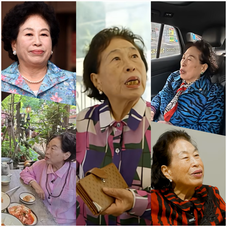 “주식은 600% 수익인데 옷은 얻어 입어” 전원주 근황과 할머니옷 쇼핑몰·브랜드 추천