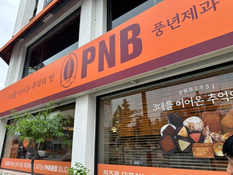 전주애견동반여행 | 전주한옥마을 조깅, 오목대, 전동성당, 웨리단....