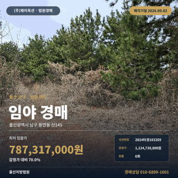 울산산지경매ㅣ울산광역시 남구 용연동 산145ㅣ2024타경103269 썸네일