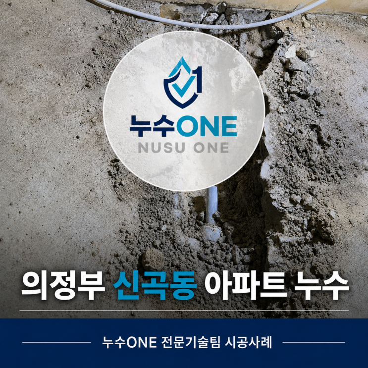 의정부 신곡동 아파트 누수, 아랫집 주방까지 물이 샌 수도배관 수리 현장 현장