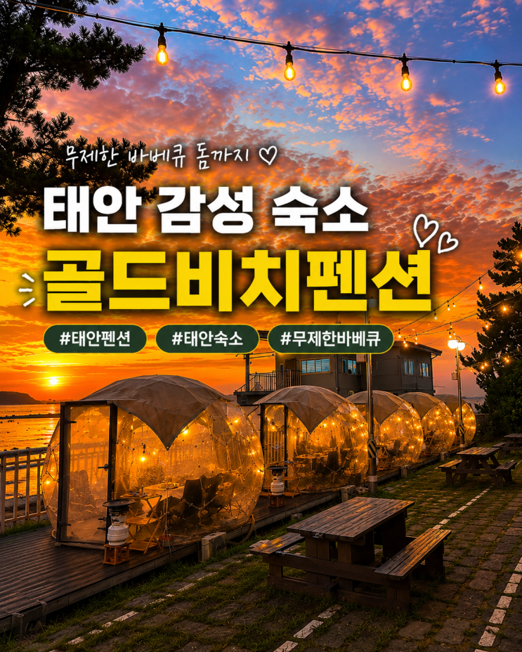 태안 골든비치펜션 212호 후기｜신두리해수욕장 오션뷰·무제한 바....