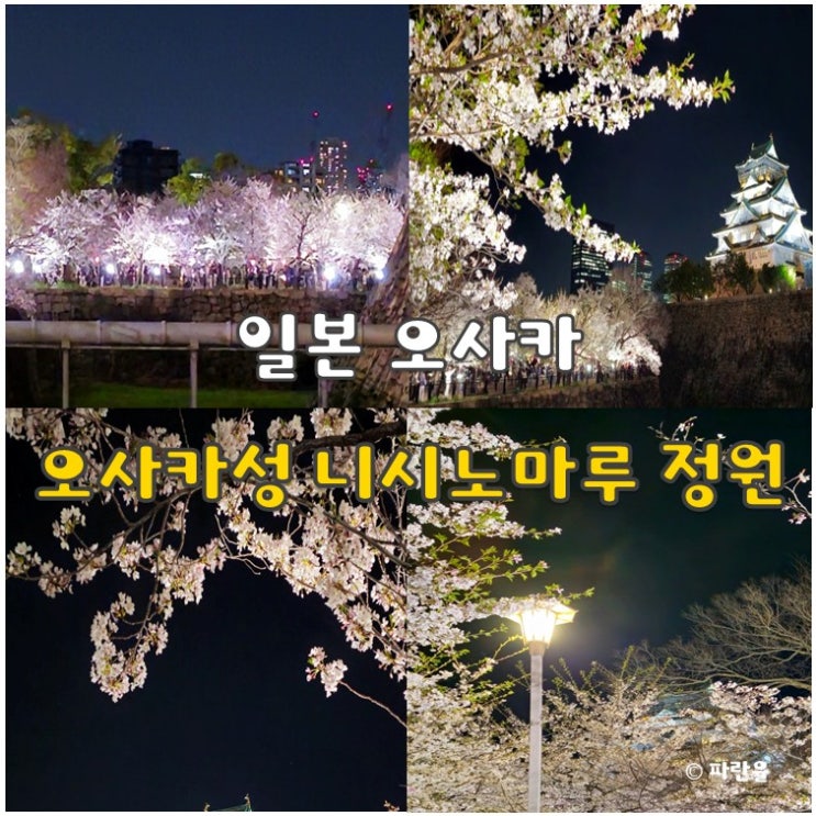 오사카성 니시노마루 정원 야경 라이트업 벚꽃 관광 명소 입장