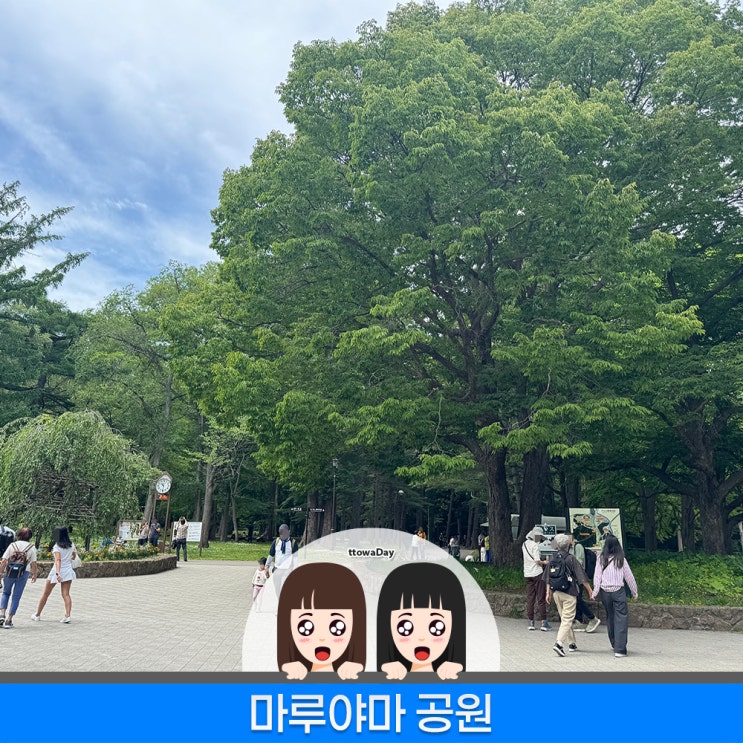 일본 홋카이도 삿포로 여행 마루야마 공원 | 진구차야에서 후쿠레모....