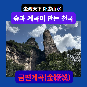 금편계곡(金鞭溪) 여행｜장가계에서 가장 아름다운 계곡 트레킹 코....