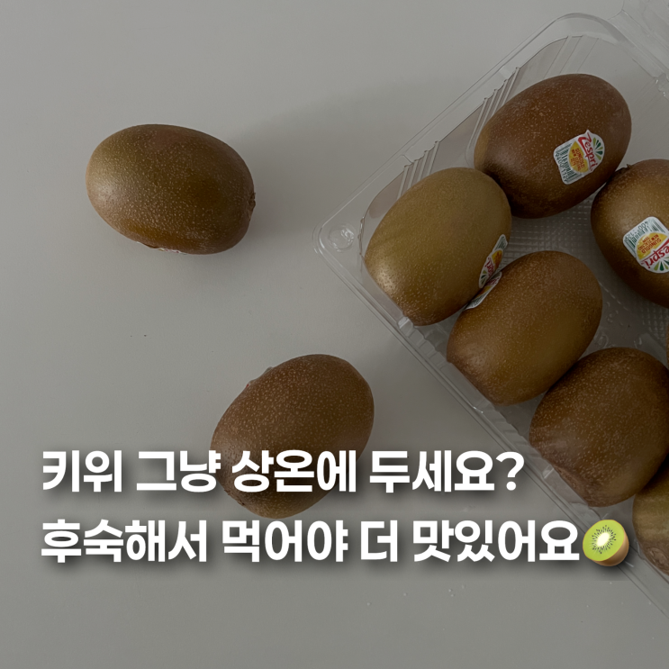 키위 보관방법 그냥 상온에 두는 게 아니었네? 후숙해서 맛있게 먹는 법