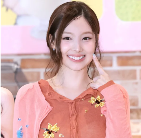 아이유·카라 한승연 다음은 트와이스 나연? 청담동 코너 건물만 노....