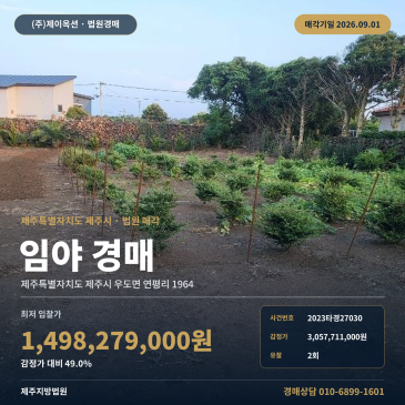 제주임야경매ㅣ우도면 연평리 1964ㅣ2023타경27030 썸네일