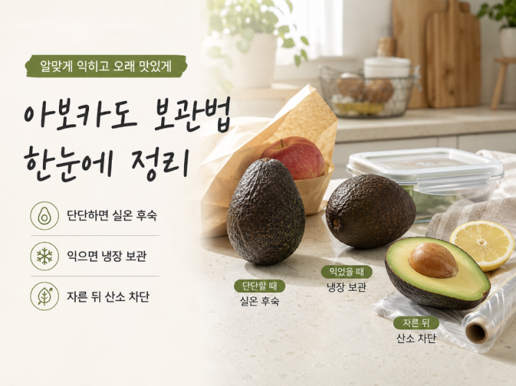 아보카도 보관법 총정리, 단단할 때부터 자른 뒤까지