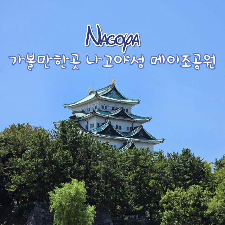 나고야 여행 가볼만한곳 나고야성 입장료 메이조공원에서 무료로