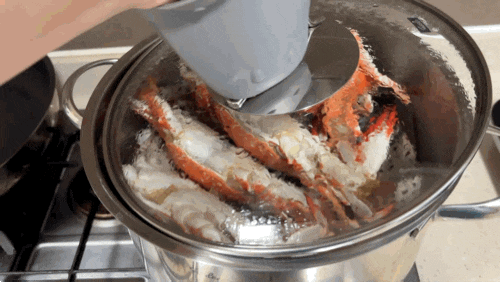 이마트 톱밥꽃게 3kg 후기｜손질·찌는법·보관방법까지