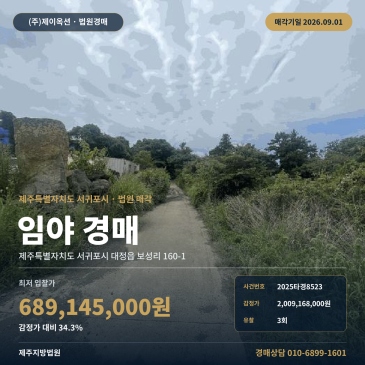 제주도서귀포임야경매ㅣ대정읍 보성리 160-1ㅣ2025타경8523 썸네일