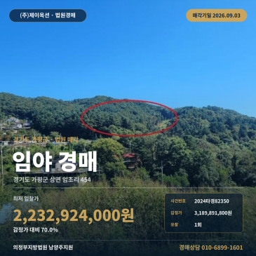 가평산경매·임야ㅣ경기도 가평군 상면 임초리 454ㅣ2024타경82350 썸네일