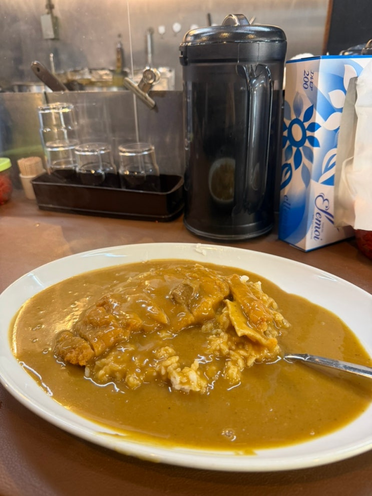 오사카 카레 맛집 추천 덴덴타운 맛집 / 마도라스 카레