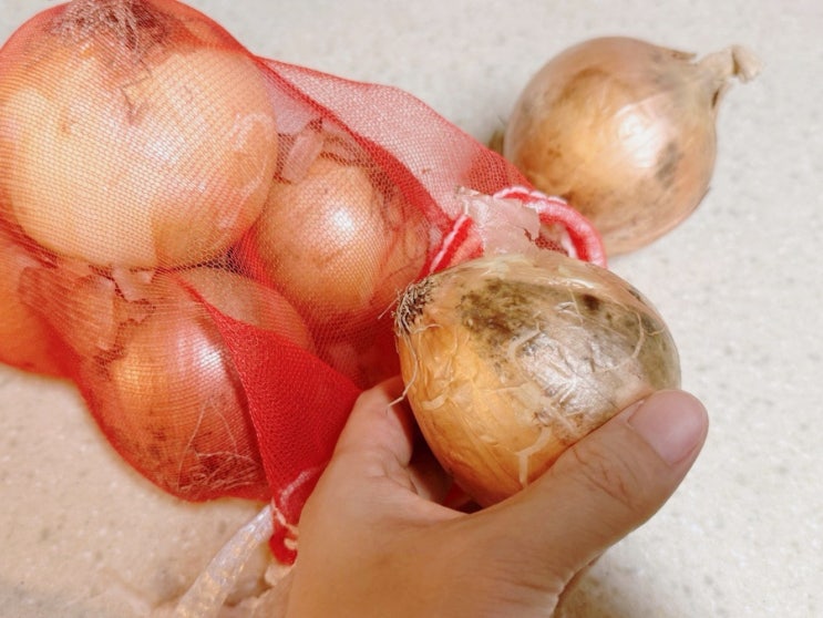 깐양파 안깐양파 오래되면? 이 방법으로 보관하기(호일, 냉동, 냉장....