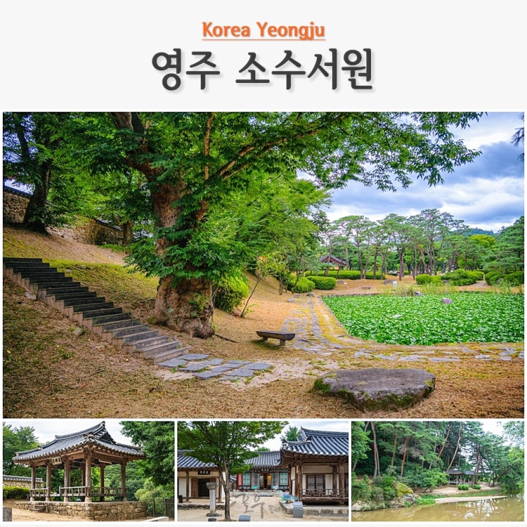 영주 가볼만한곳 국내 패키지 여행 영주 소수서원 주차 및 입장료 ....