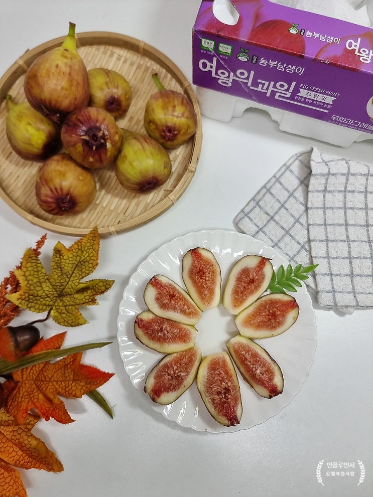 9월 가을 제철과일 무화과 먹는법, 무화과 손질 세척 냉장 냉동 보관방법
