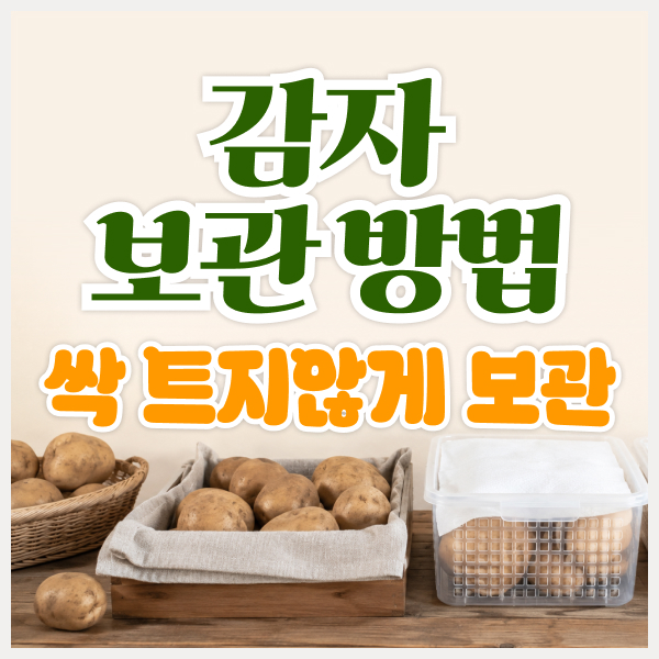 감자 보관 방법 총정리, 싹과 변색 줄이고 오래 보관하는 법