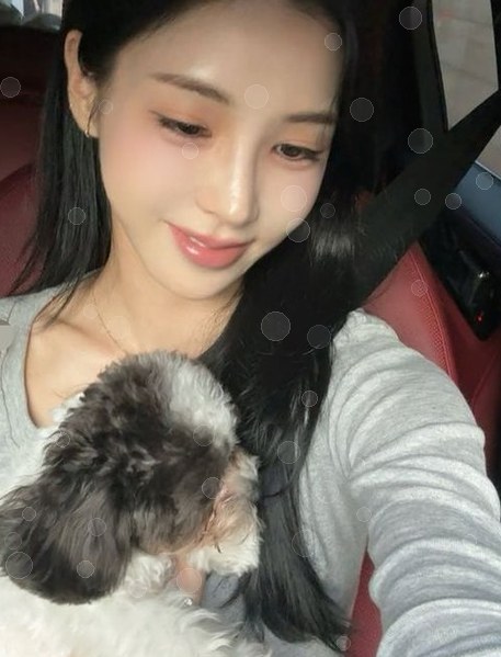 미스코리아 진 우서윤 성형 논란, 탈락한 전수완이 더 주목받는 결....