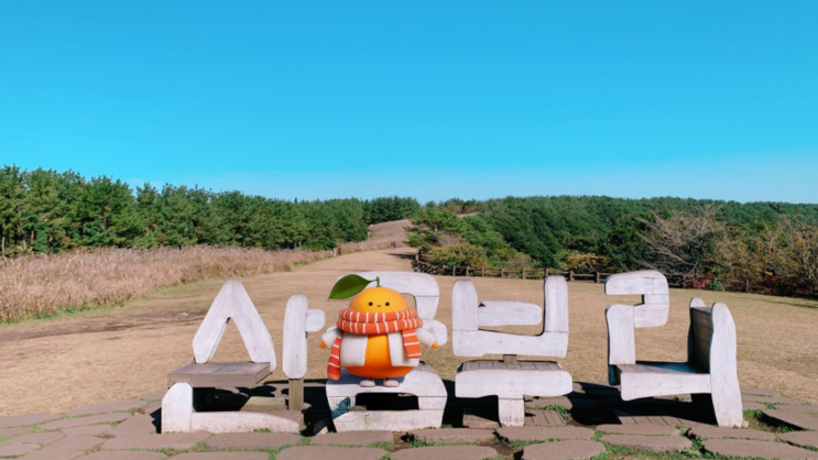 제주 산굼부리,바람이 분화구를 가리킨 날