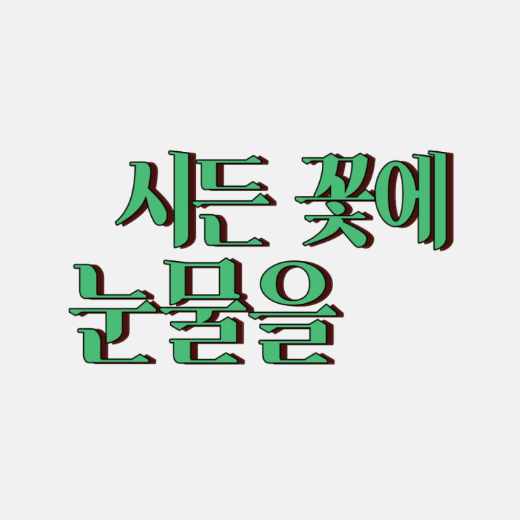 [용산 아이파크몰 팝업] 시든 꽃에 눈물을 팝업스토어 용산 아이파....